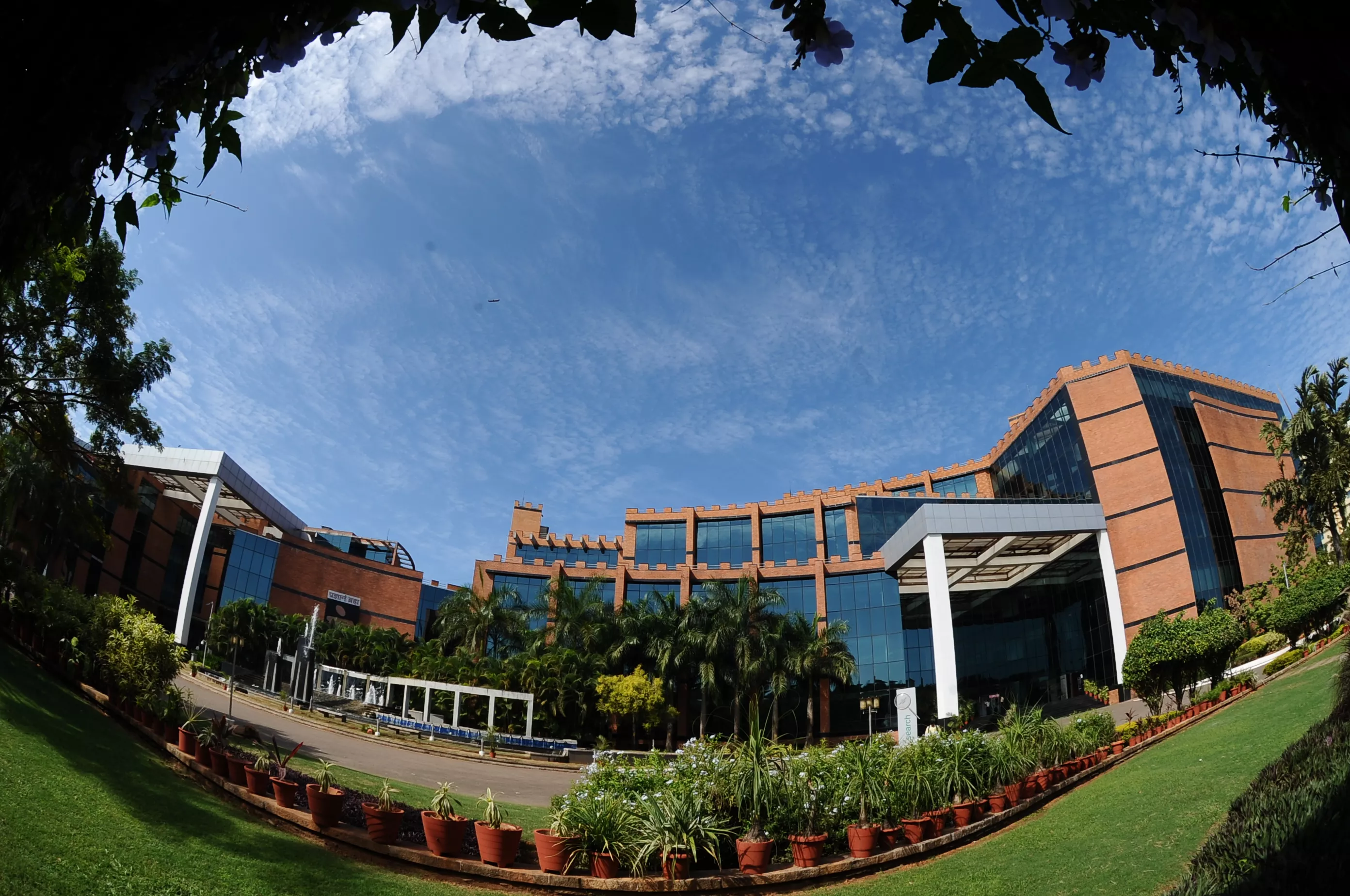 library overview